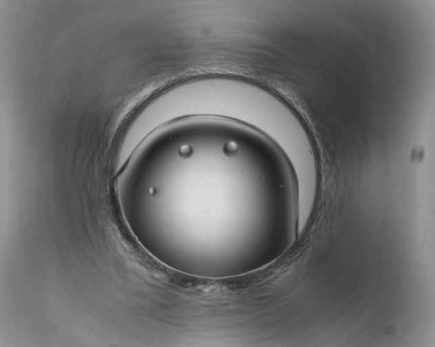 X0000111030395200907091550