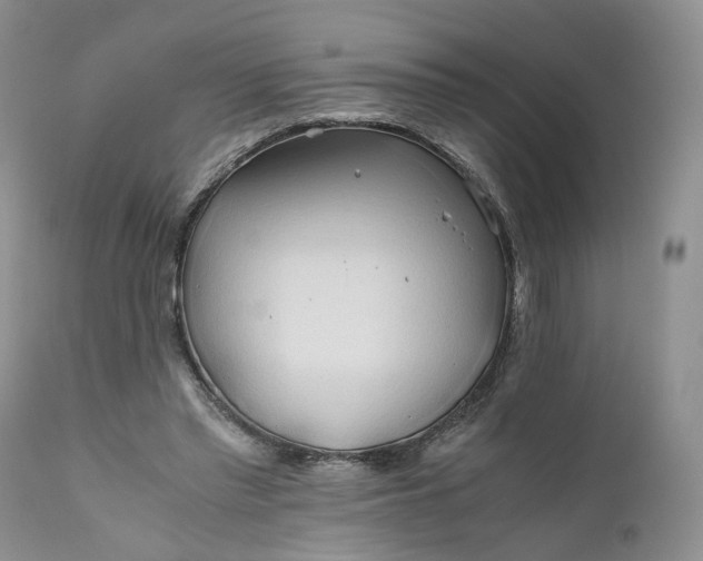 X0000111030397200907091550