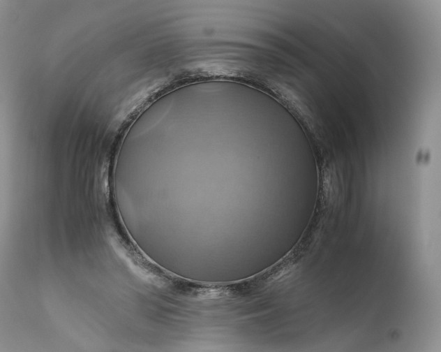 X0000111030398200907091550