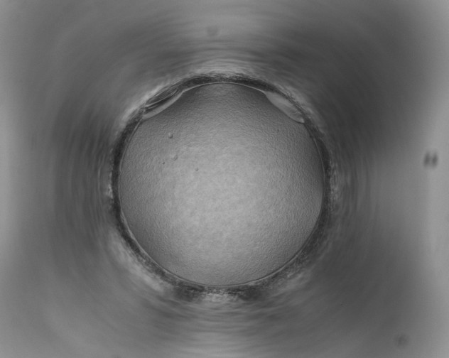 X0000111030399200907091550