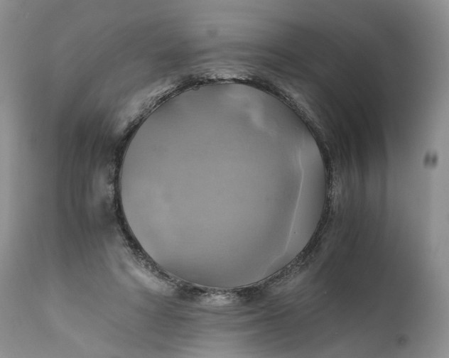 X0000111030402200907091550