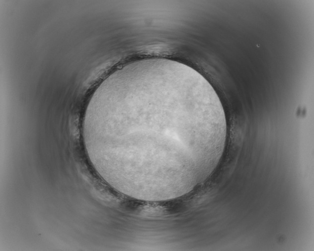 X0000111030403200907091550
