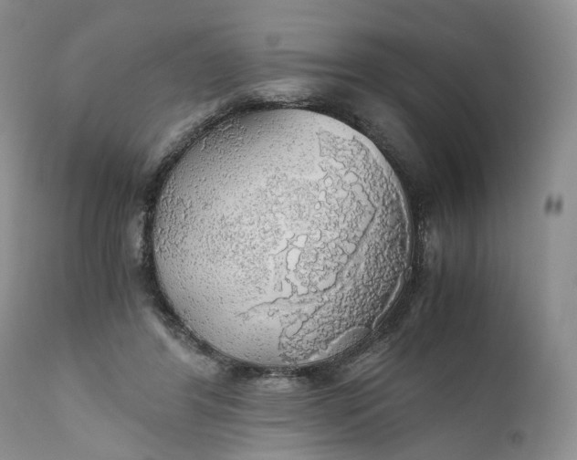 X0000111030404200907091550