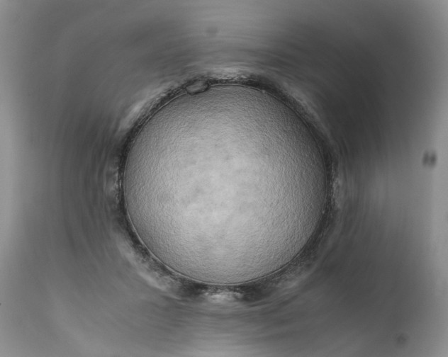 X0000111030407200907091550