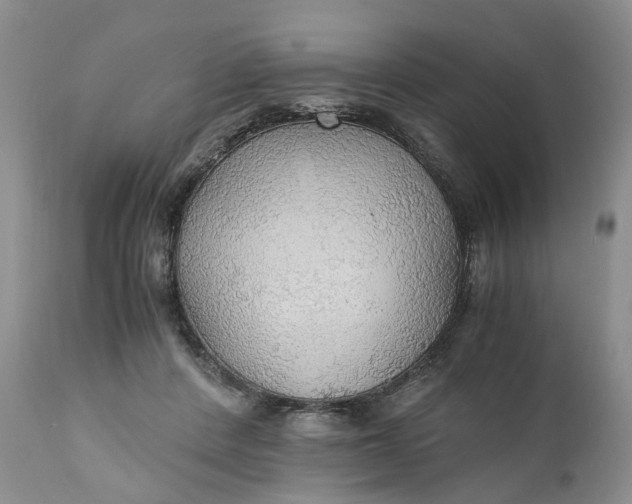 X0000111030408200907091550