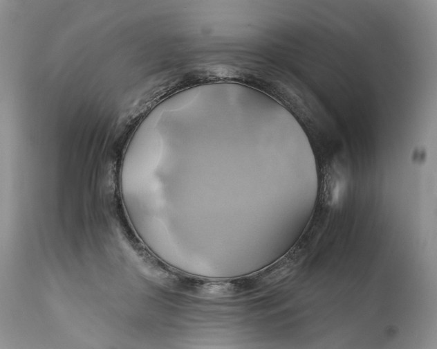 X0000111030410200907091549