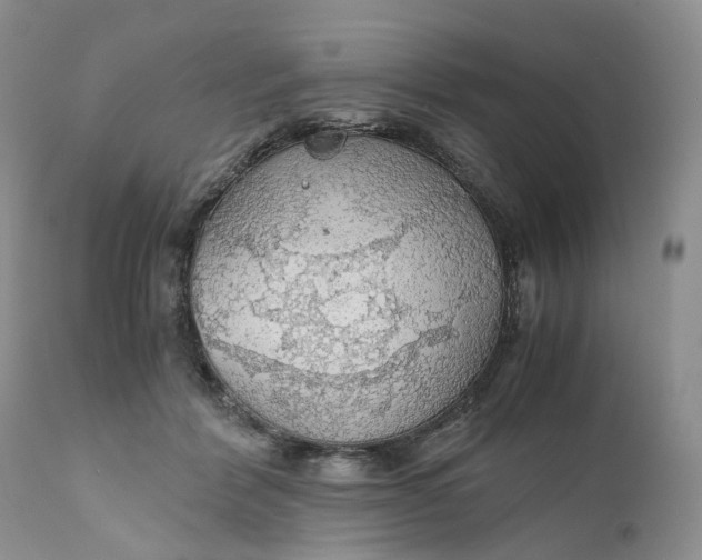 X0000111030412200907091549