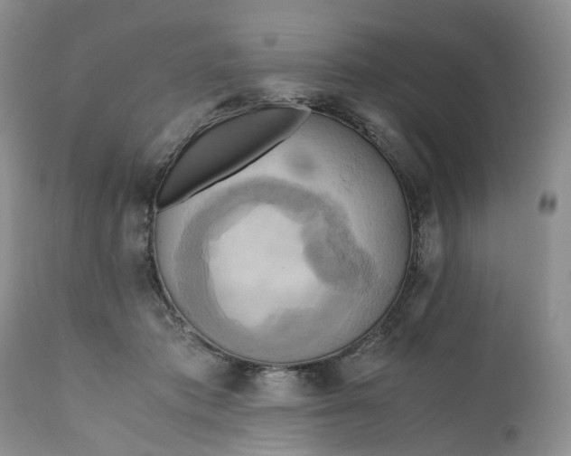 X0000111030413200907091549