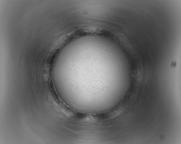 X0000111030416200907091549