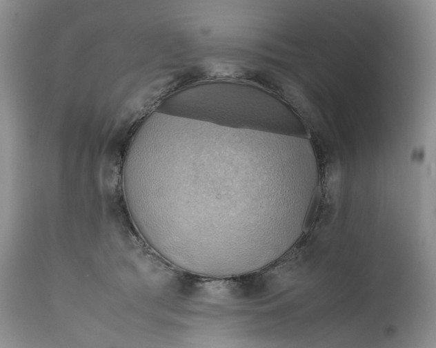 X0000111030417200907091549