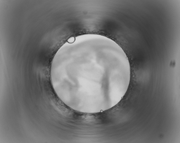 X0000111030419200907091549