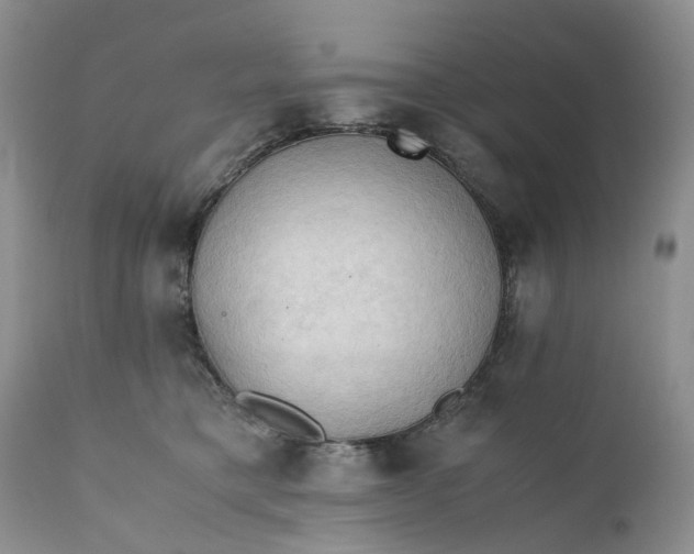 X0000111030421200907091549