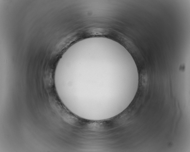 X0000111030422200907091549