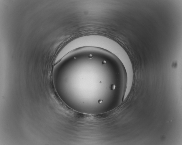 X0000111030423200907091549