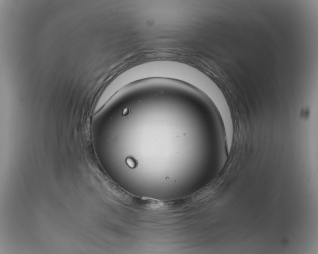 X0000111030425200907091549