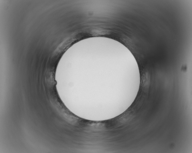 X0000111030426200907091549
