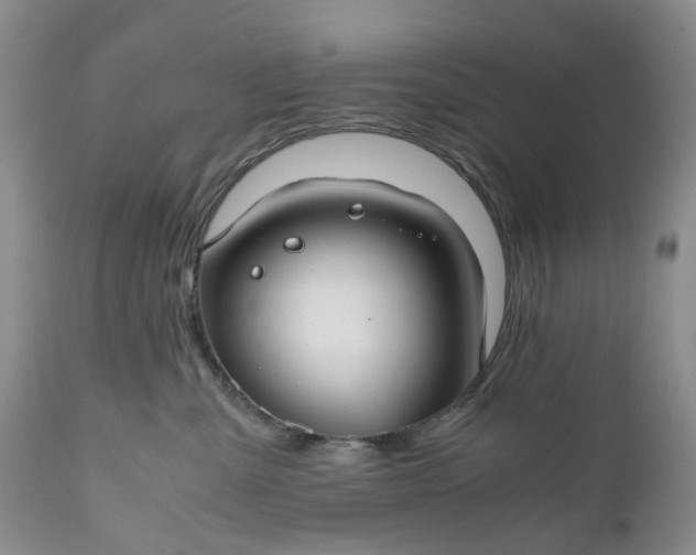 X0000111030427200907091549