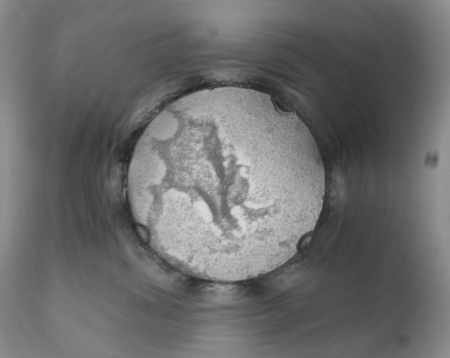 X0000111030428200907091549