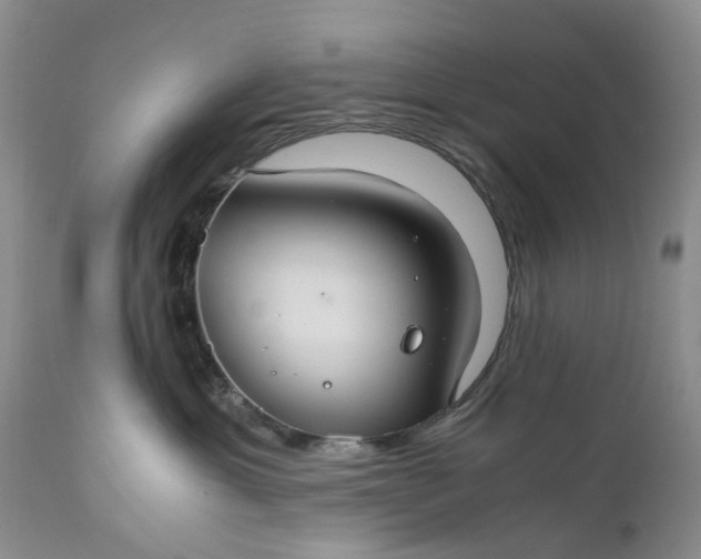 X0000111030429200907091549