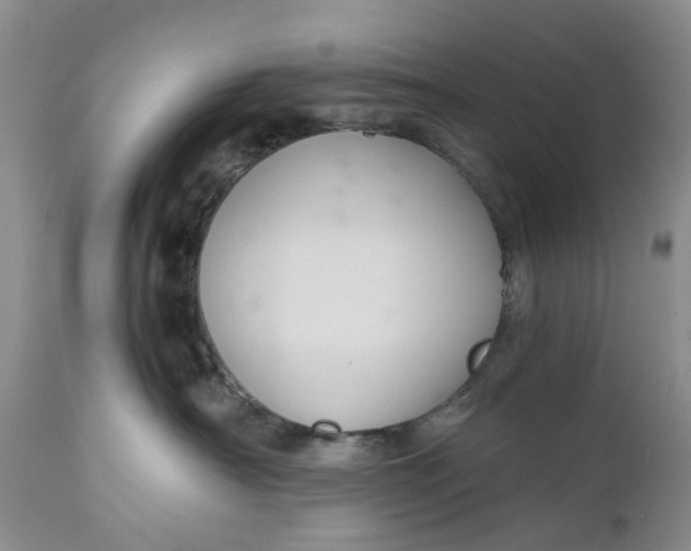 X0000111030430200907091549