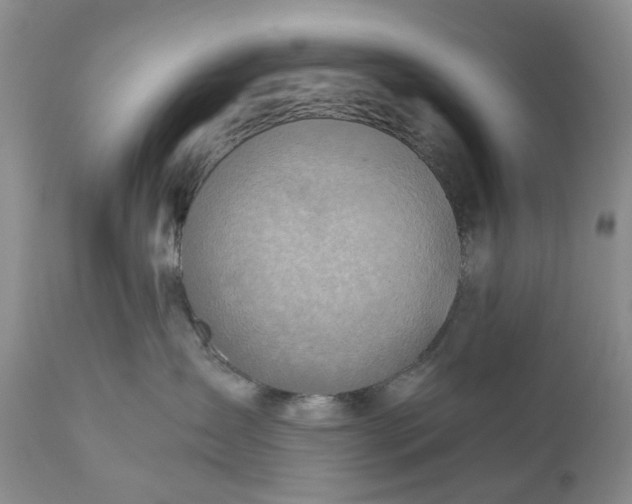 X0000111030431200907091549
