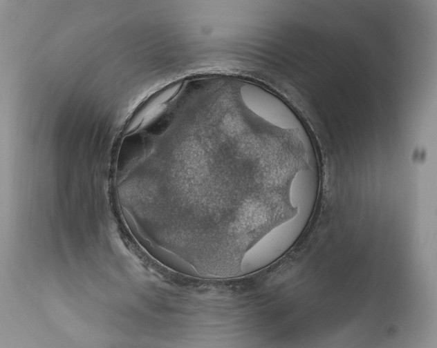 X0000111030434200907091548