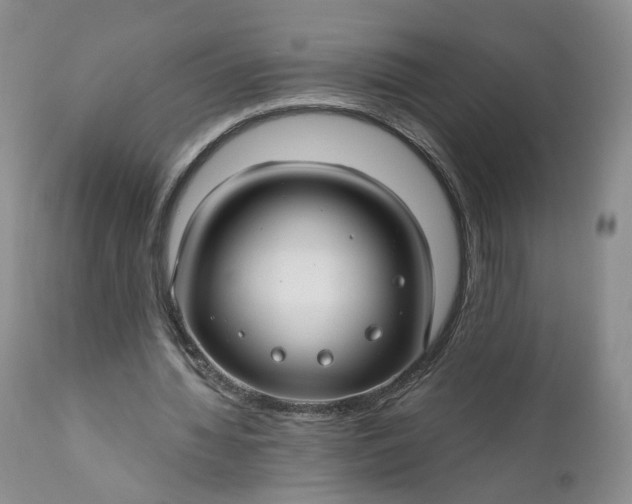 X0000111030436200907091548