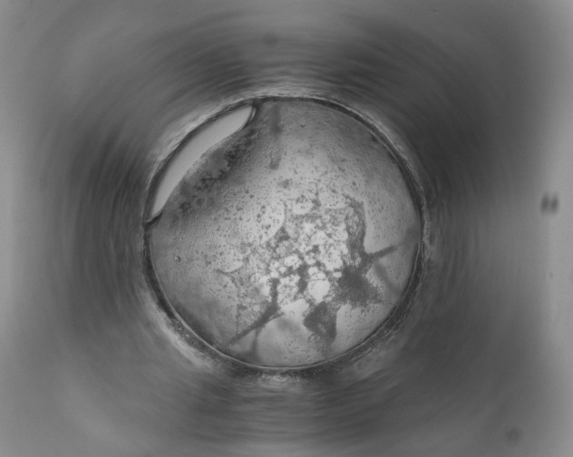 X0000111030437200907091548
