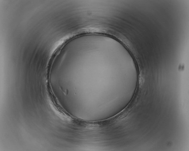 X0000111030438200907091548