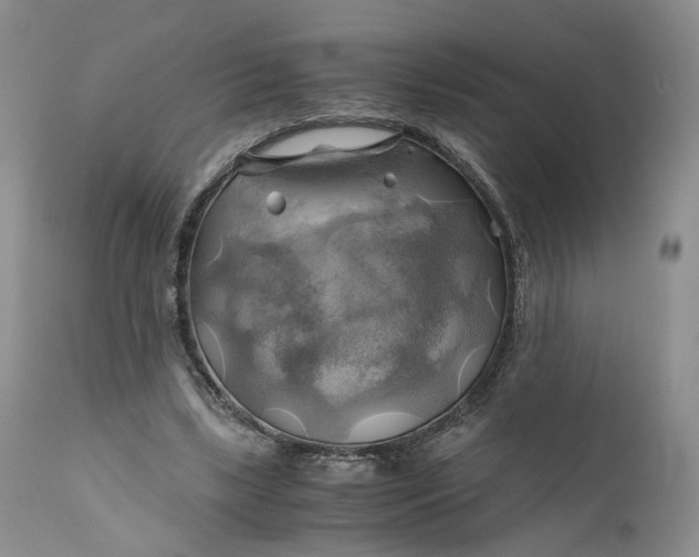 X0000111030443200907091548