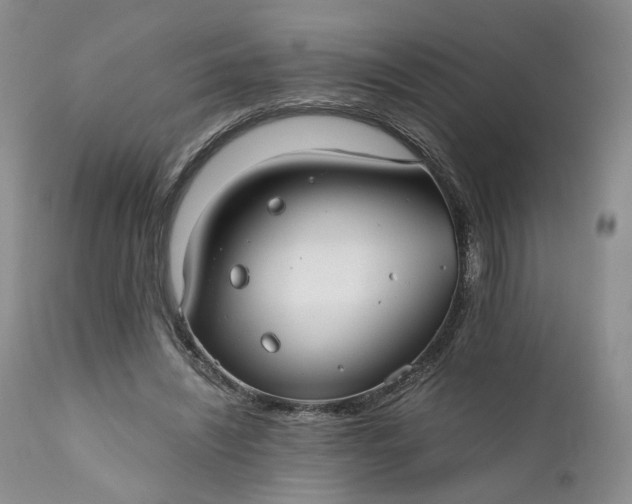 X0000111030444200907091549