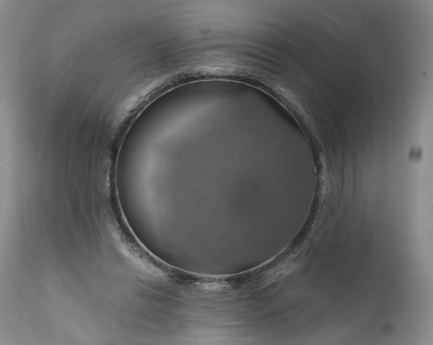 X0000111030446200907091549