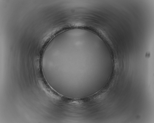 X0000111030447200907091549
