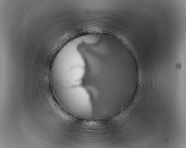 X0000111030449200907091549