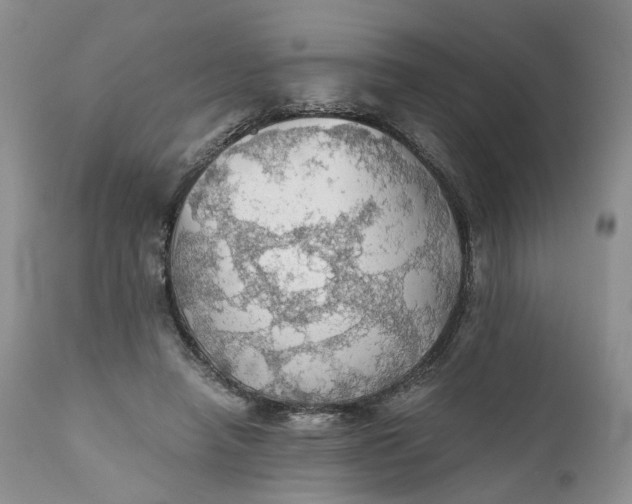 X0000111030450200907091549