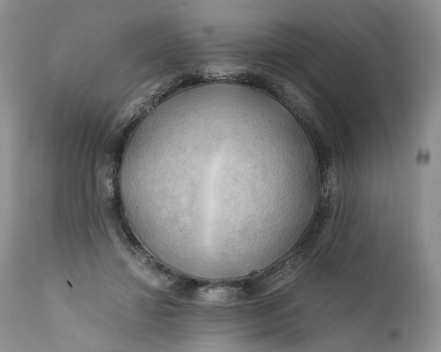 X0000111030452200907091549