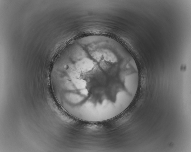 X0000111030453200907091549