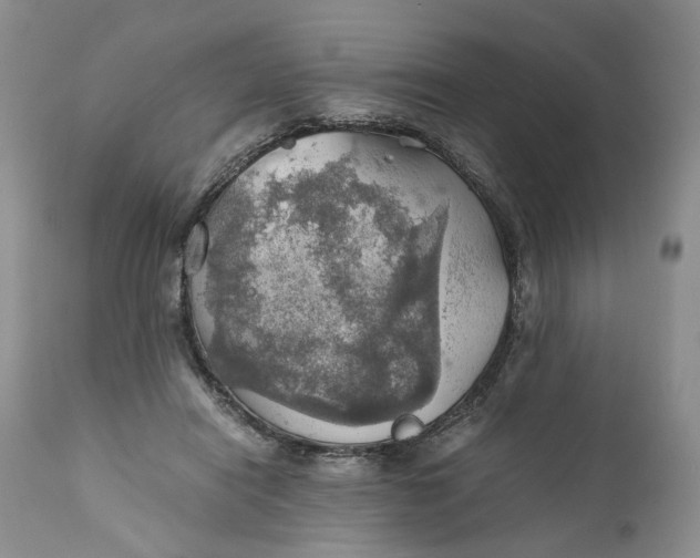 X0000111030454200907091549