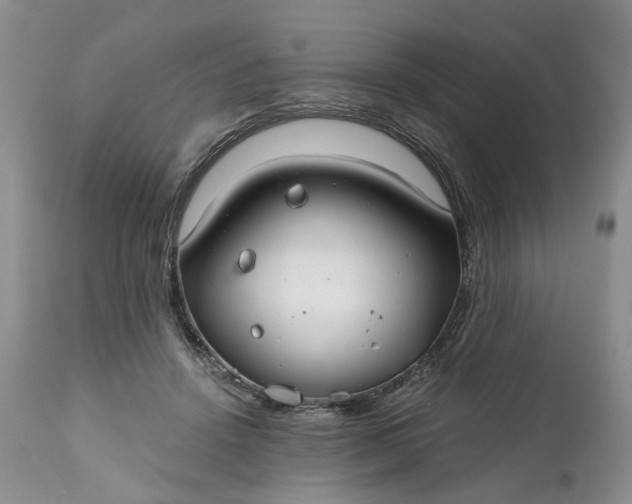 X0000111030456200907091549