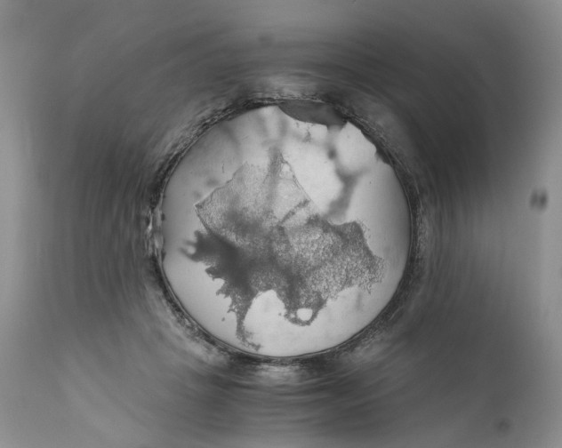 X0000111030457200907091549