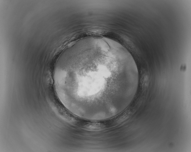 X0000111030459200907091549