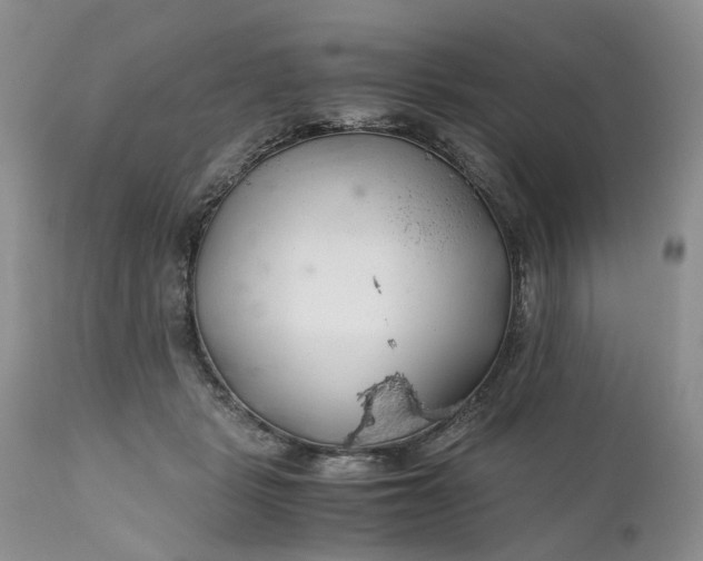 X0000111030461200907091549