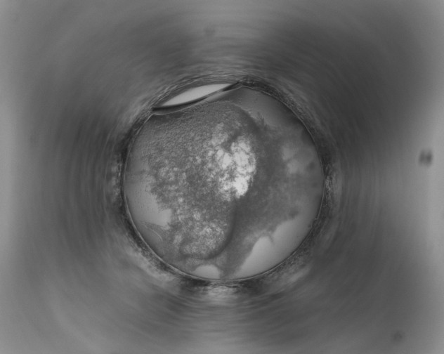 X0000111030462200907091549