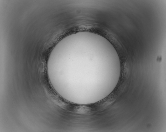 X0000111030463200907091549