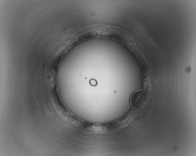 X0000111030464200907091549