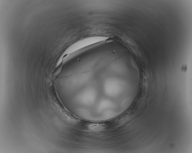 X0000111030465200907091549