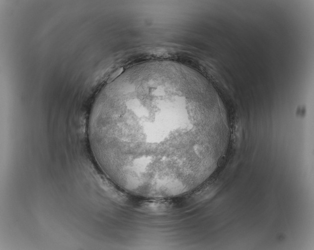 X0000111030466200907091549
