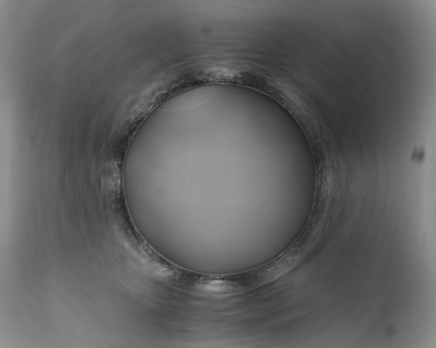 X0000111030467200907091549