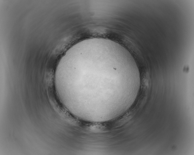 X0000111030468200907091549