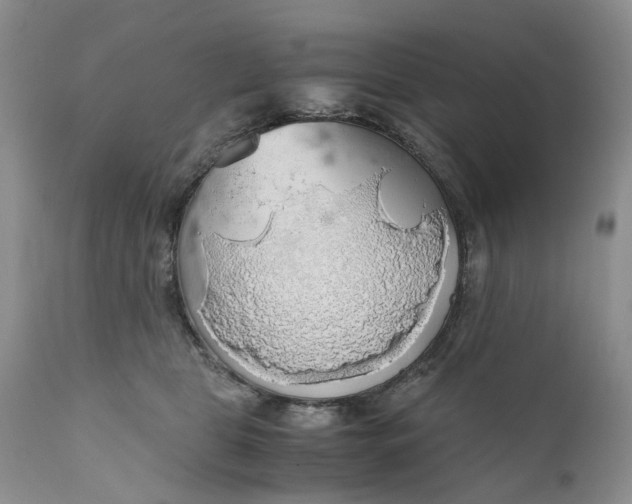 X0000111030469200907091549